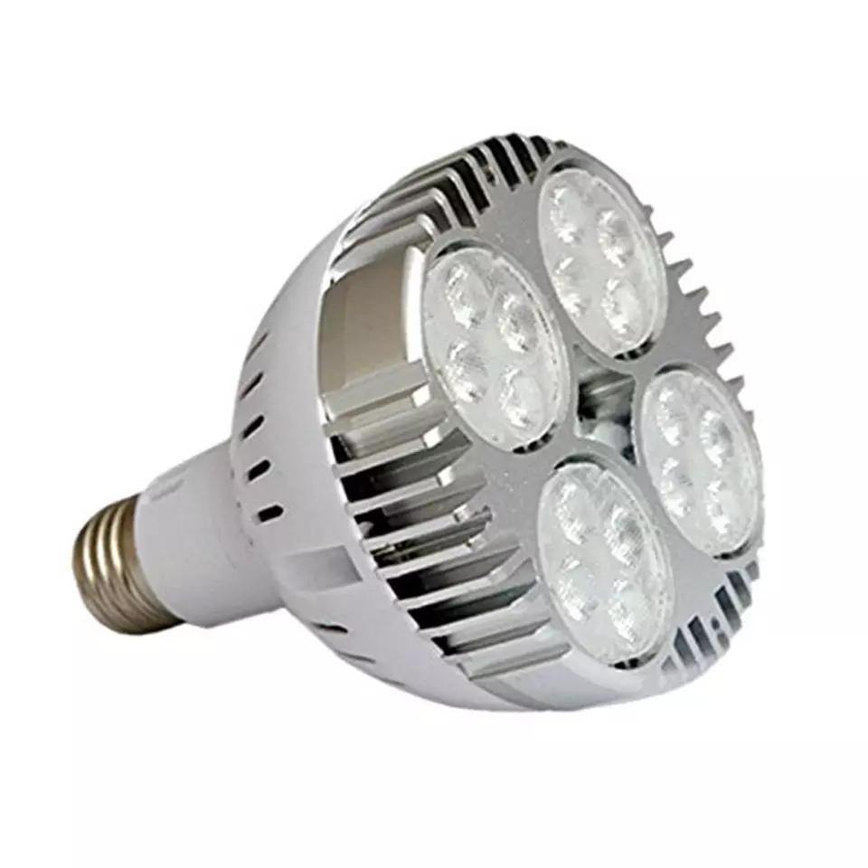 FOCO PAR 30 45W 6000K