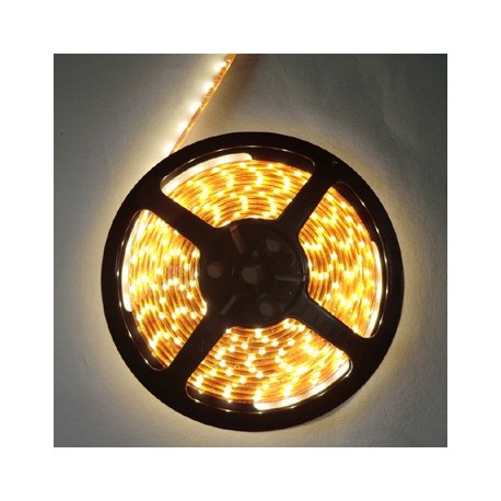 CINTA LED 5M 50505SMD 72W 3000K IP20
